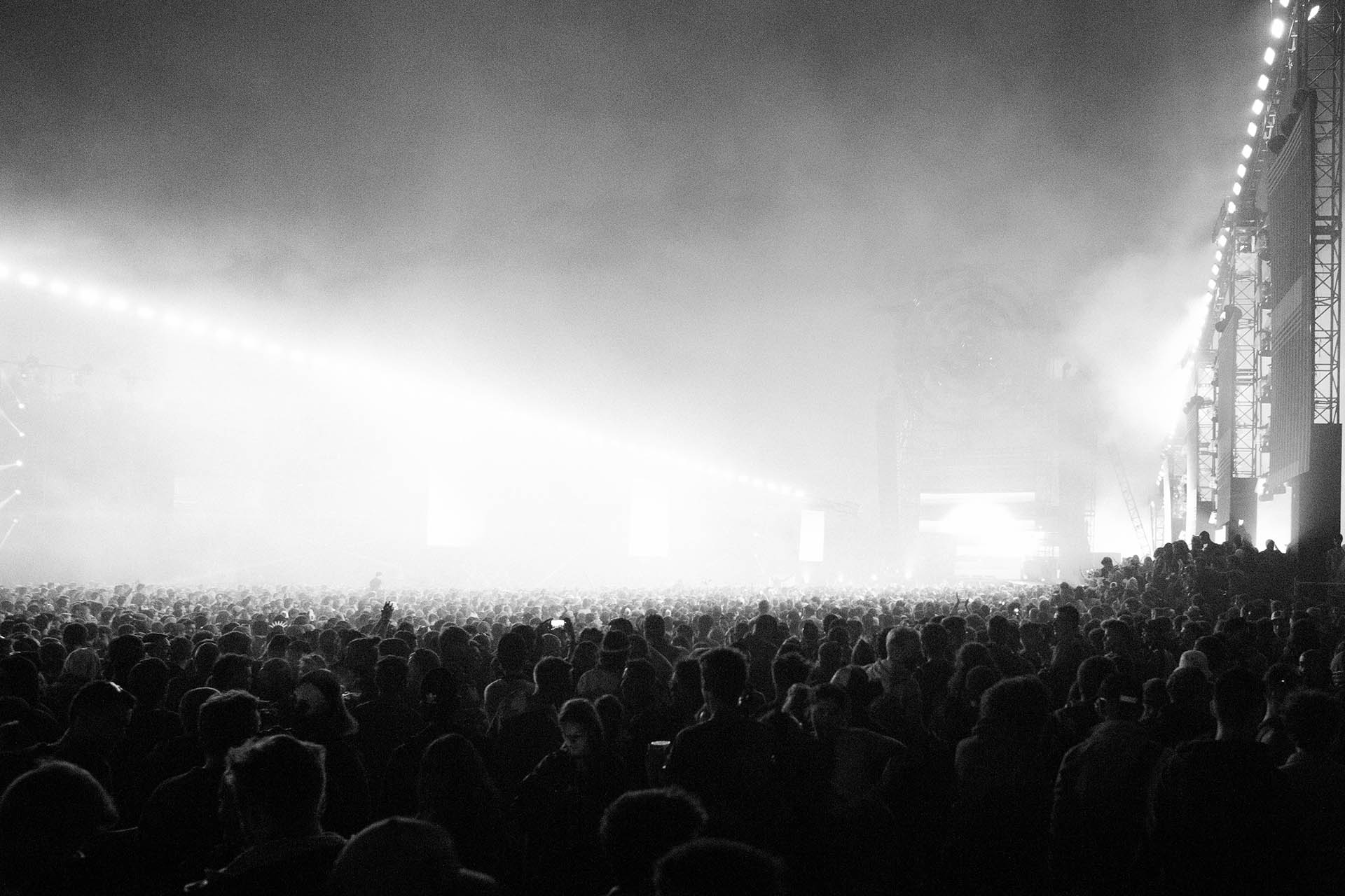 You are currently viewing EDMB Festival 2019 Highlights